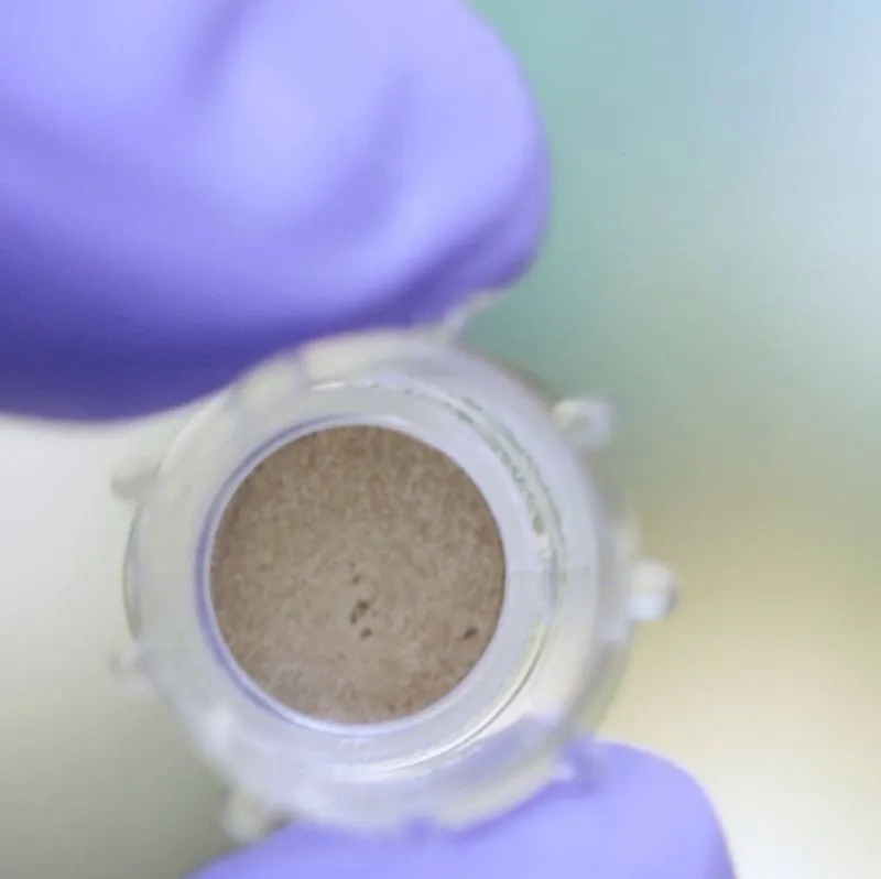 Se cumplen 10 años de investigación fundamental en Bella Aurora Labs